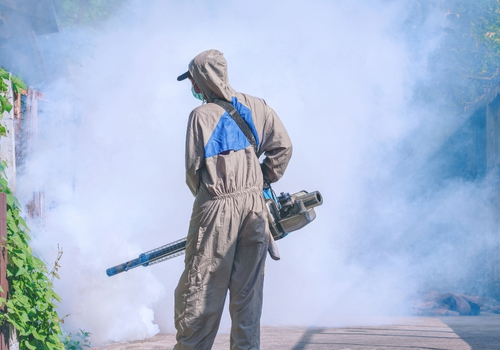 Fumigasyon