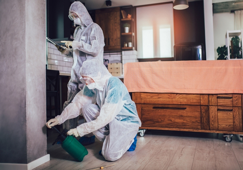 Bir başlık ekleyin (35)