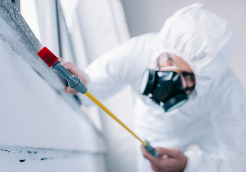 Bir başlık ekleyin (40)