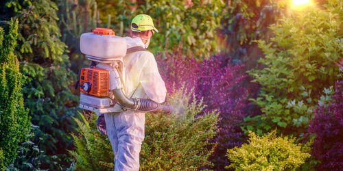 Bir başlık ekleyin (43)